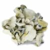 Avery's Albino Magic Mushrooms