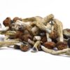 Creeper Magic Mushrooms