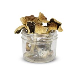 Golden Teacher Mushrooms