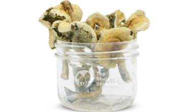 Mazatapec mushrooms for sale