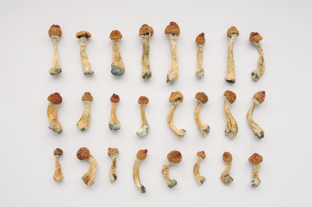 Mushrooms