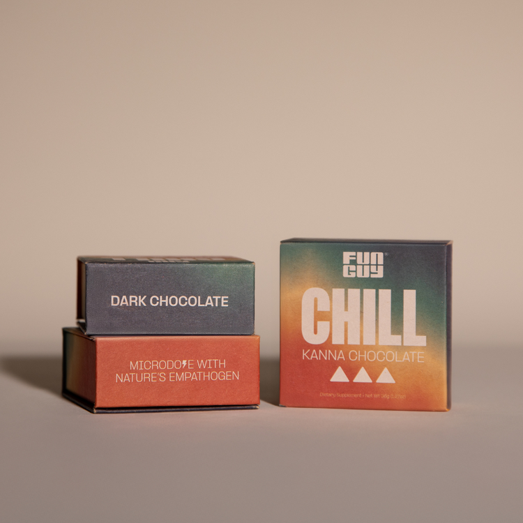 Fun Guy – Chill Mushroom Chocolate Bar | Vegan