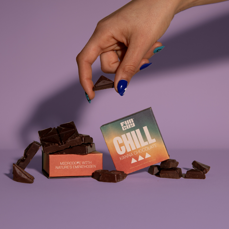 Fun Guy – Chill Mushroom Chocolate Bar | Vegan - Image 2
