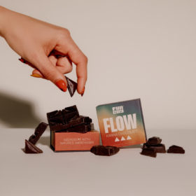 Fun Guy – Flow Mushroom Chocolate Bar | Vegan