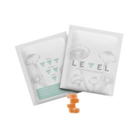 Level Blueberry Microdose Mushroom Gummies 4G
