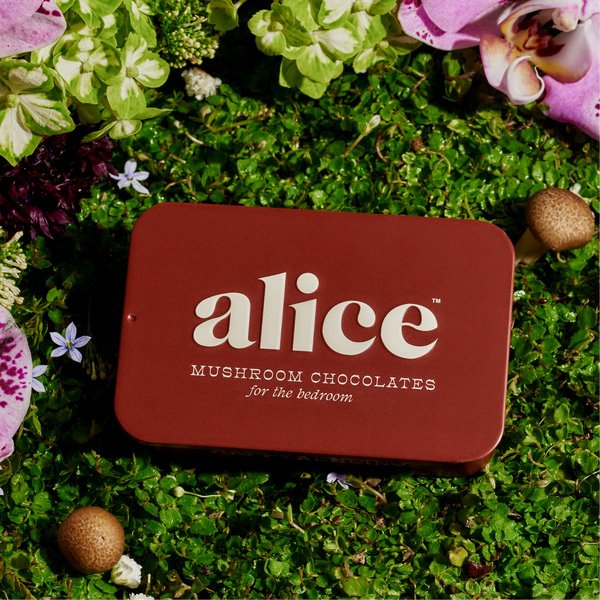 Alice Mushrooms Happy Ending Chocolate - Image 5