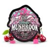 TreHouse Sour Cherry Magic Mushroom Gummies